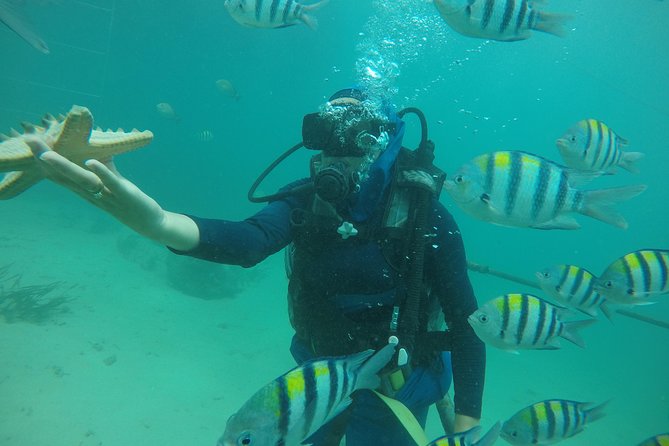 Discover Scuba Diving ( beginners) Combined With Jet Ski - Hotel pickup makes the short visit easier