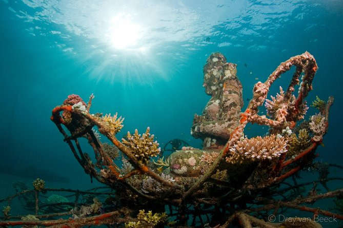 Discover Scuba Diving in Pemuteran at the Biorock site,1 shore dive all included - Your 5-hour introduction, from theory to open water