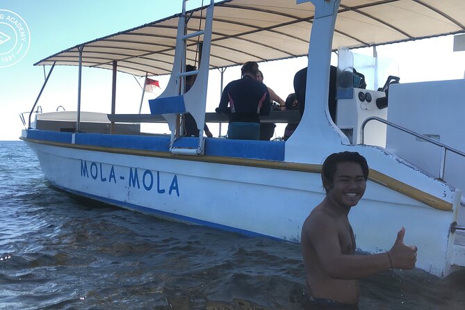 Discover Scuba Diving in Pemuteran at the Biorock site,1 shore dive all included - Is $75 good value?