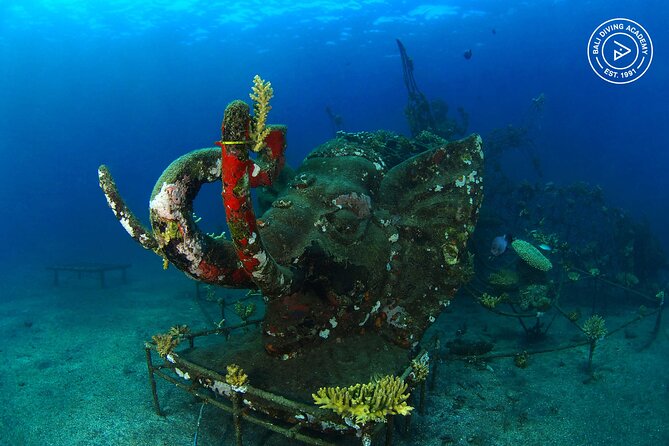 Discover Scuba Diving in Pemuteran at the Biorock site,1 shore dive all included - Should you book it?