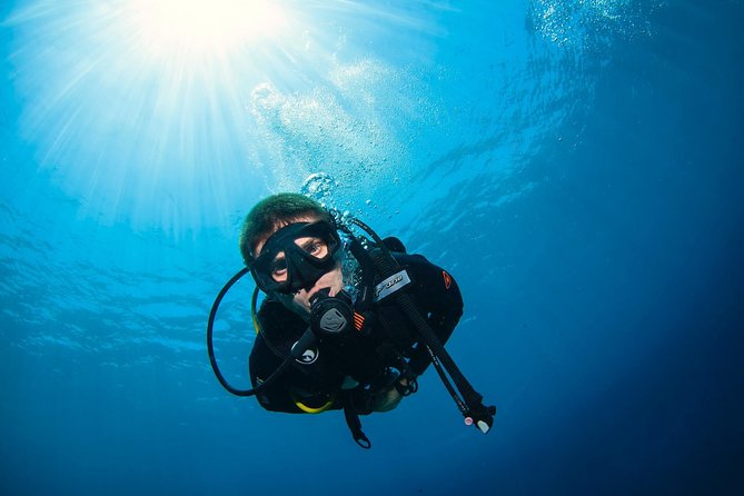 Discover Scuba Diving in Pemuteran - Diving Initiation in Bali (Menjangan Park) - Equipment, safety, and instructor support