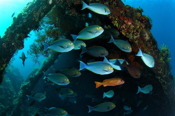 Discover Scuba Diving in Tulamben - Diving Initiation in Bali best diving sites - The break at the dive center