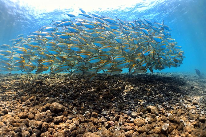 Discover Scuba Diving Tulamben Bali For Non-Certified Divers - The early pickup and the road to Tulamben