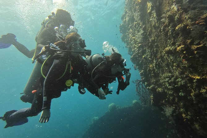 Discover Scuba Diving Tulamben Bali For Non-Certified Divers - Booking timing and cancellation practicalities