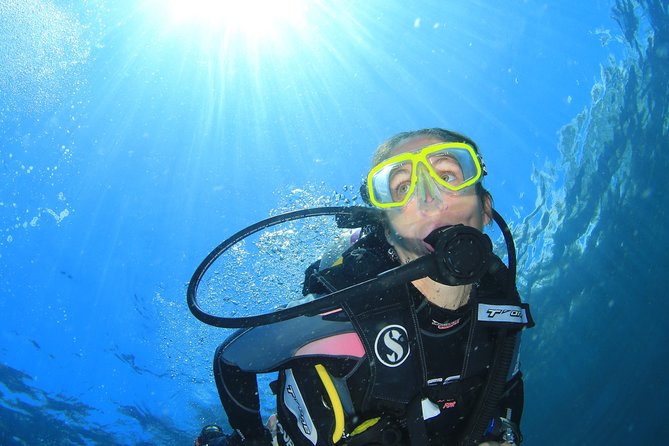 Discover Scuba Diving - Coral Garden or the USAT Liberty?