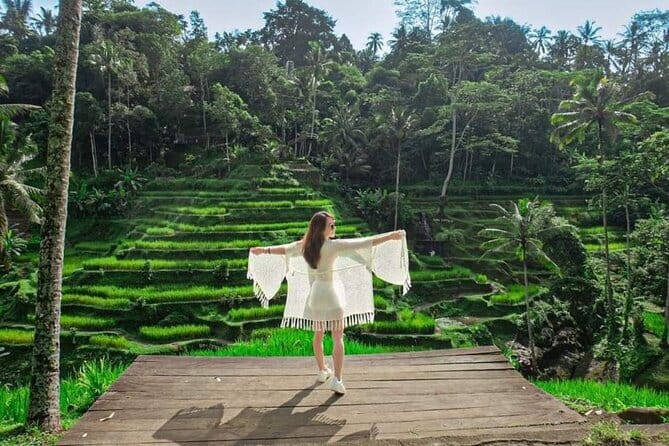 Discover The Best North of Bali with Private Guide Tour - What Agung and Wayan Sidiarta add to the day