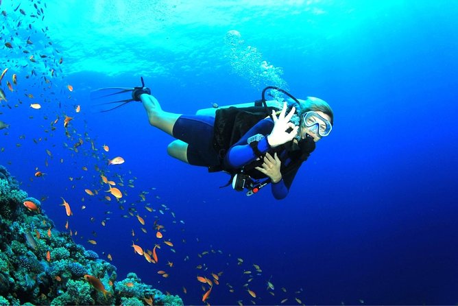 Dive at Tulamben Bali USS Liberty Ship Wreck - Equipment, guide support, and what is covered