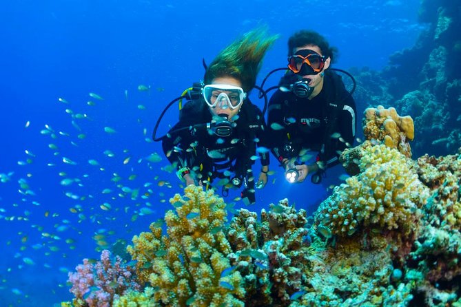 Dive at Tulamben Bali USS Liberty Ship Wreck - Is $110 a fair price?