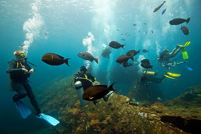 Dive at Tulamben Bali USS Liberty Ship Wreck - Who should book this experience?