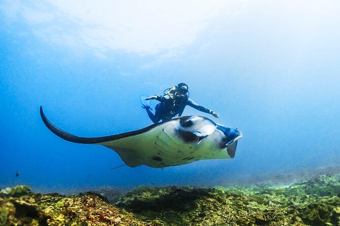 Diving in Nusa Penida - Starting scuba in Nusa Penida
