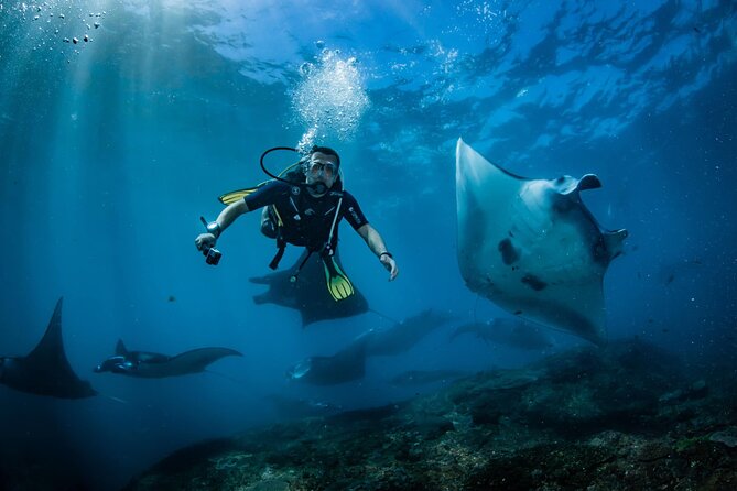 Diving in Nusa Penida - Pool practice before open water