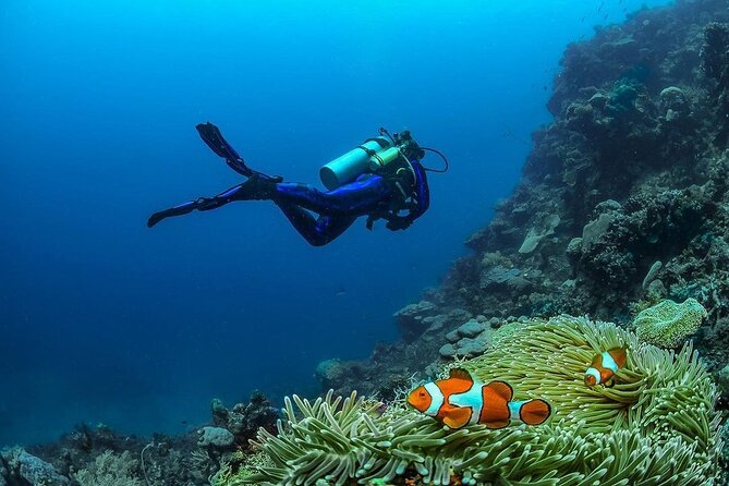 Diving in Nusa Penida - First sea location: the manta ray area