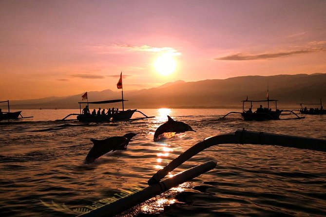 Dolphin Tour and Sunrise Watching in Lovina Beach - All Inclusive - Key things to know before booking
