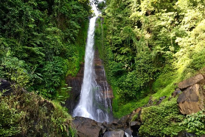 Dolphin Tour and Sunrise Watching in Lovina Beach - All Inclusive - Optional waterfalls and temples