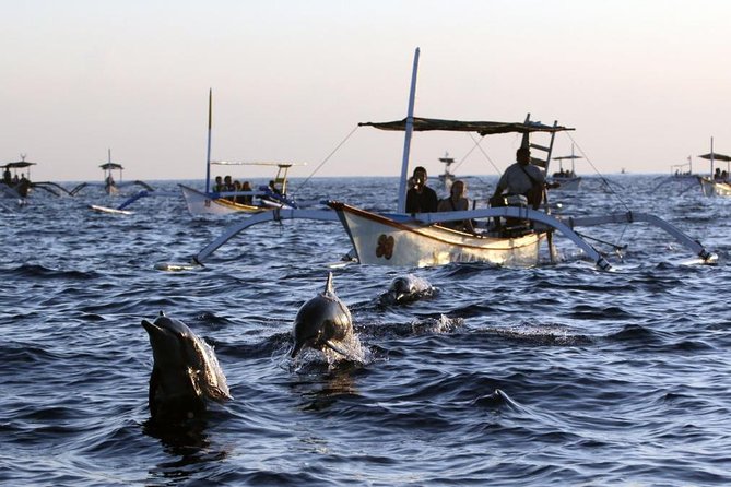 Dolphin Tour and Sunrise Watching in Lovina Beach - All Inclusive - Breakfast at Coffee Nosky after the boat