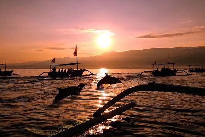 Dolphin Watching Tour, Swimming with Dolphins and Snorkeling - From Ubud to Lovina before sunrise