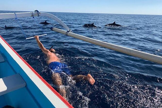 Dolphin Watching Tour, Swimming with Dolphins and Snorkeling - Who should book this experience?