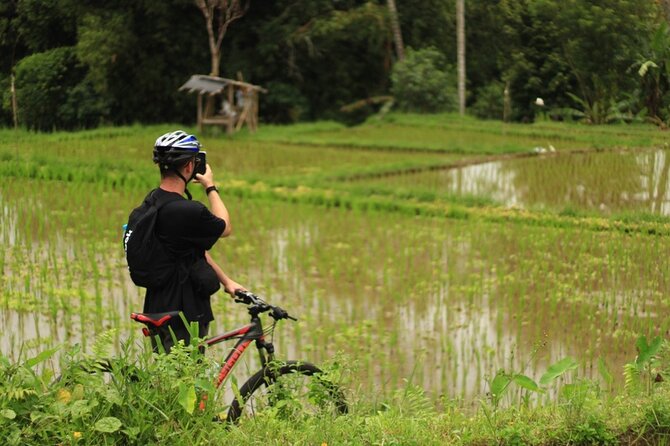 Downhill Cycling Ubud with Volcano, Rice Terrace and Educational - Guides, group size, and the pace of the day