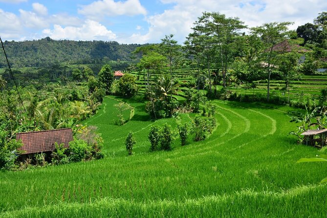 East Bali Tour: Gate of Heaven, Water Palace, Sleeping Gajah - The private car changes the feel of a long day