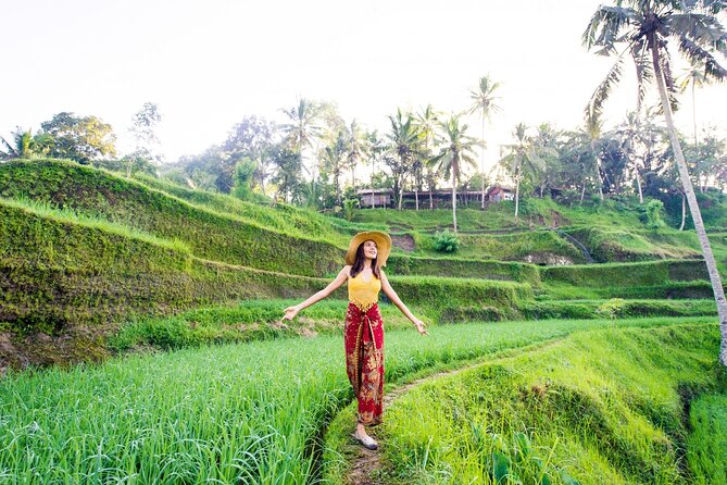 East of Bali Tour with Lempuyang Temple, Waterfall, Tirta gangga - Taman Sari Waterfall and the natural pool