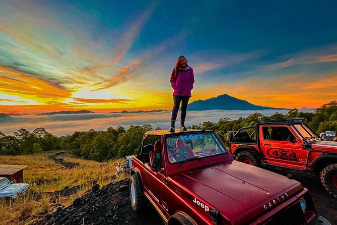 East of Bali Tour with Lempuyang Temple, Waterfall, Tirta gangga - What the private driver arrangement really gives you