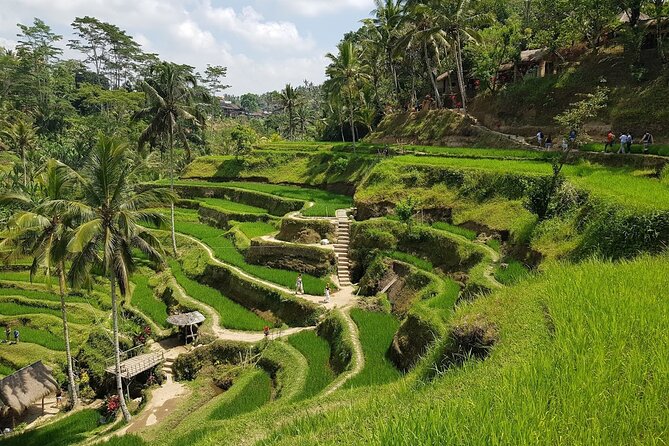 East of Bali Tour with Lempuyang Temple, Waterfall, Tirta gangga - Timing, weather, and practical planning