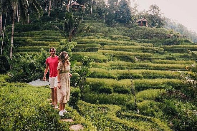 East of Bali Tour with Lempuyang Temple, Waterfall, Tirta gangga - Who should book this tour