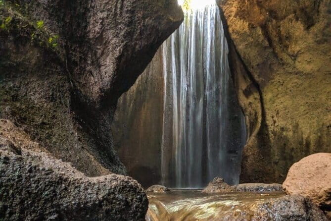 Eastern Bali and Besakih Temple Tour - The seven-hectare bamboo forest near Bangli