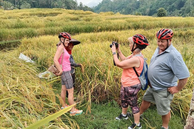 Electric bicycle tour in Jatiluwih UNESCO site - Why an e-bike is the right way to see Jatiluwih