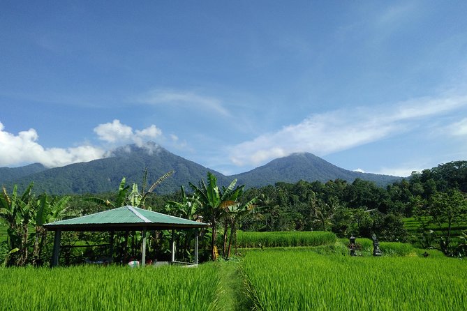 Electric bicycle tour in Jatiluwih UNESCO site - Weather, clothing, and effort