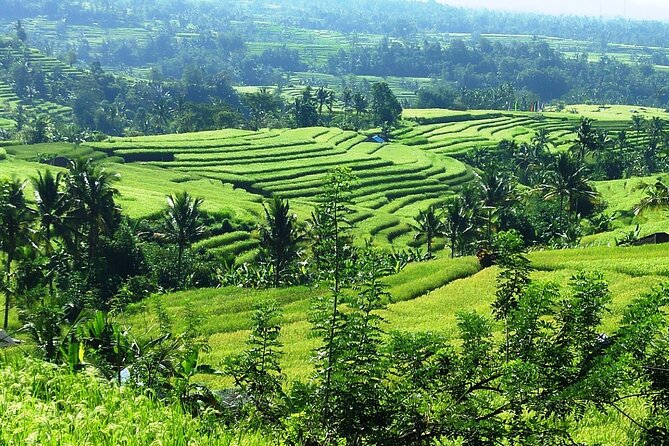 Electric bicycle tour in Jatiluwih UNESCO site - Pickup is useful, but check the distance