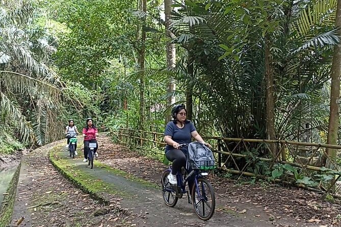 Electric bicycle tour in quaint South Ubud - Key points to know before you ride