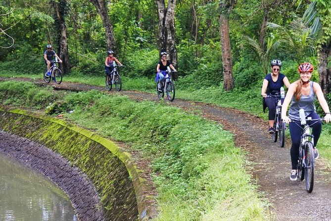 Electric bicycle tour in quaint South Ubud - Riding through villages with little tourist traffic