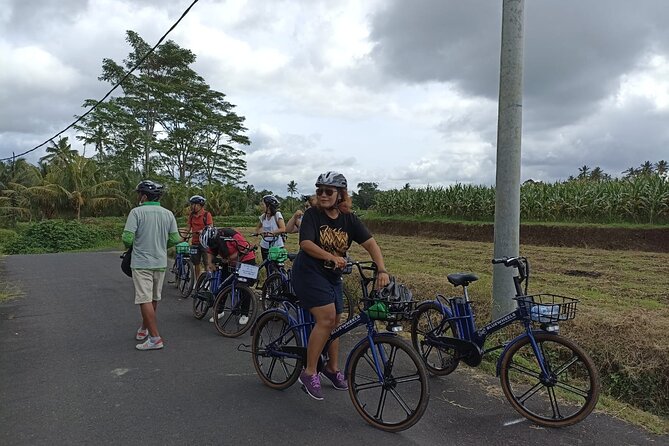 Electric bicycle tour in quaint South Ubud - Mambal: rice fields, flowers, and farmer roads