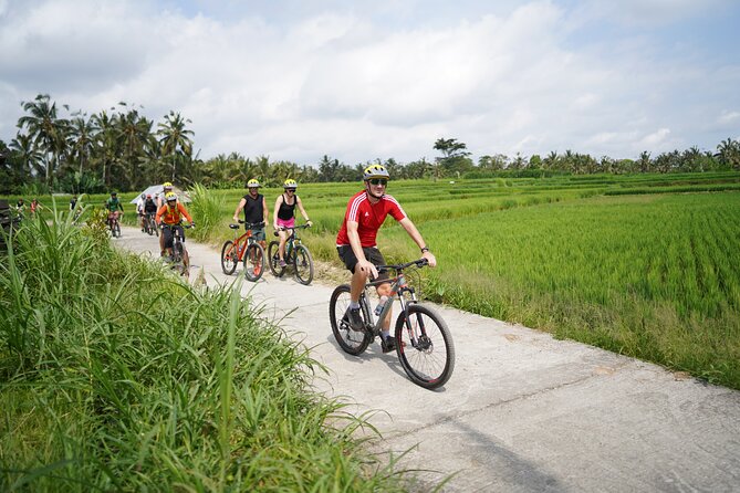 Electric Bike and Swing Package - Key points to know before booking