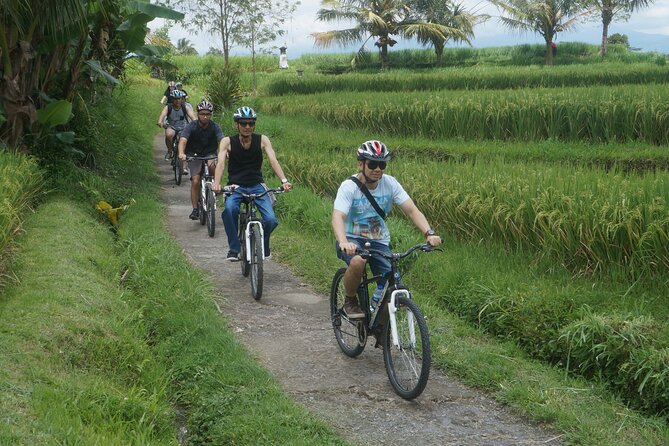 Electric Bike and Swing Package - A Balinese family compound in Taro