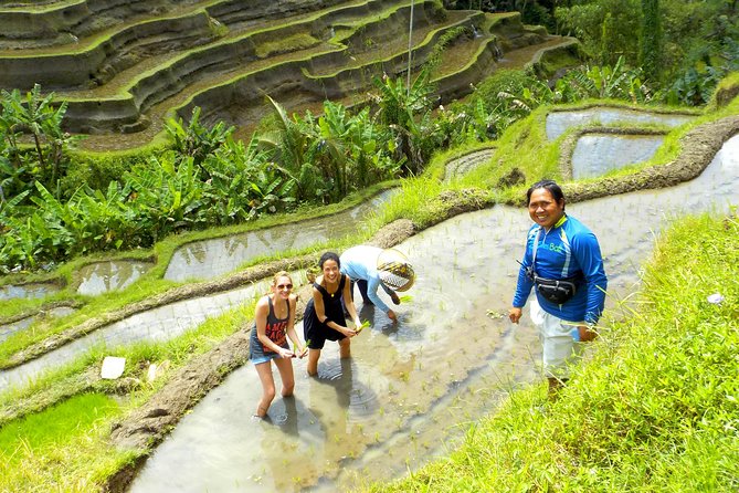 Electric Cycling Tour of Ubud with Free Hotel Transfer and Lunch - Temples, homes, and everyday Balinese culture