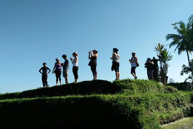 Electric Cycling Tour of Ubud with Free Hotel Transfer and Lunch - Safety, traffic, and the kind of cyclist you need to be