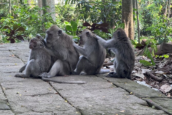 Exclusive Ubud Experience: Nature, Culture & Adventure in One Day - Celuk Village and the silver workshop