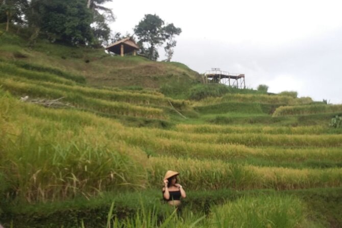 Experience Full Day to Bali Swing Temple and Monkey Forest - Picheaven Bali Swing is the main event