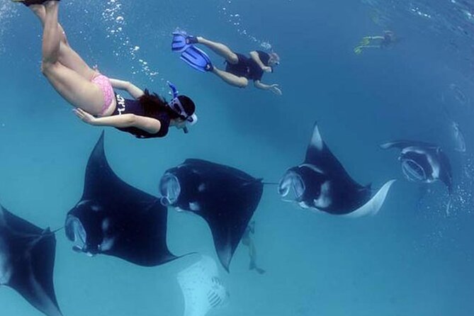 Explore 4 iconic snorkeling spots of Manta Bay in Nusa Penida - Manta Bay is only the beginning