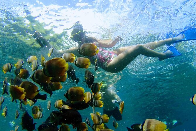 Explore 4 iconic snorkeling spots of Manta Bay in Nusa Penida - A small group with a quick schedule