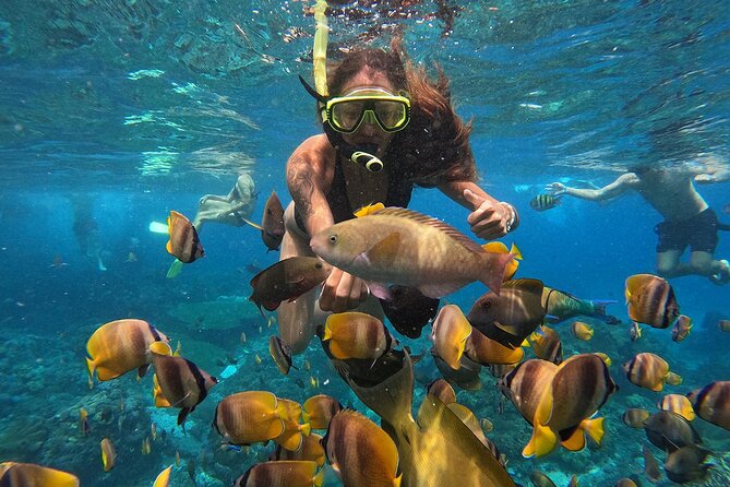 Explore 4 iconic snorkeling spots of Manta Bay in Nusa Penida - What the strongest service looks like