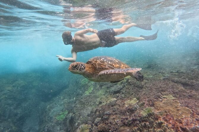Explore 4 iconic snorkeling spots of Manta Bay in Nusa Penida - My call on the experience