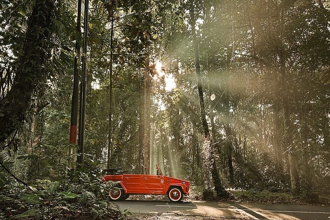 Explore Bali's Hidden Gems In a Classic Vw Convertible - What the driver adds to the experience