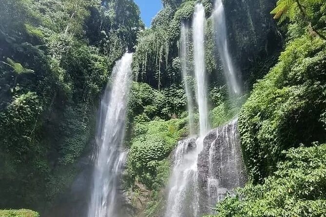 Explore Munduk Customized 8 Hour Day Tour in North Bali - Banyumala Twin Waterfalls and the coffee plantation