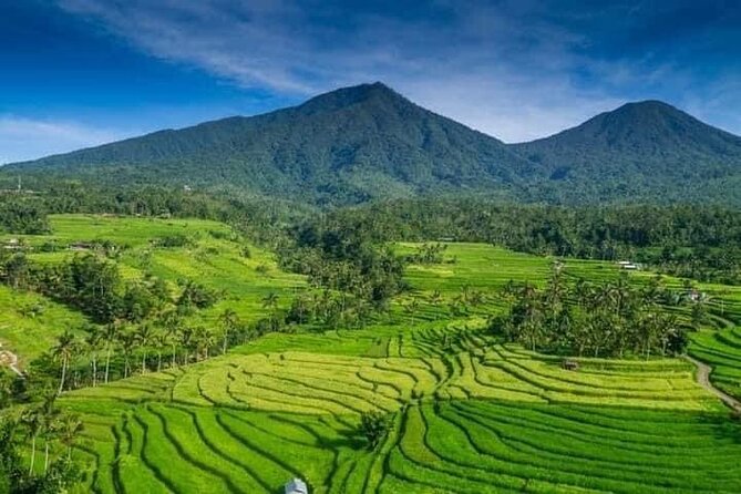 Explore Munduk Customized 8 Hour Day Tour in North Bali - Buyan and Tamblingan Lakes for cool mountain scenery