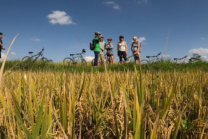 Explore Ubud with Electric Bike - Breakfast at Greenkubu Restaurant and Swing