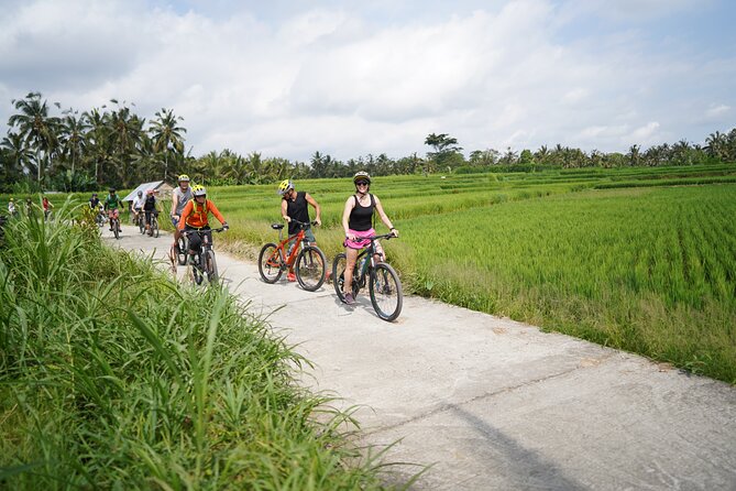 Explore Ubud with Electric Bike - Group size, guide style, and pace