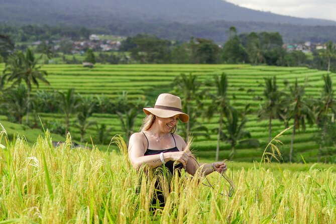 Exquisite UNESCO World Heritage Sites in Bali - Jatiluwih Rice Terraces and Working Farmland
